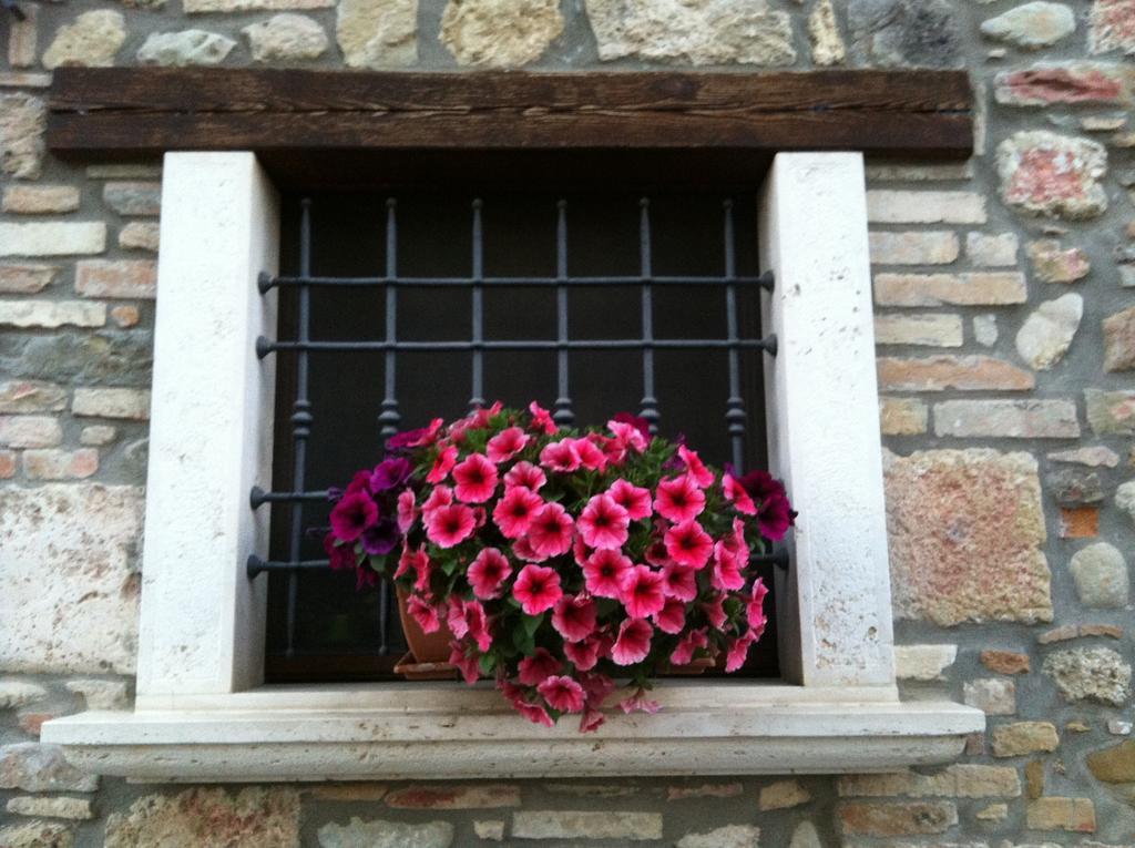 Agriturismo La Cantina Ascoli Piceno Eksteriør bilde