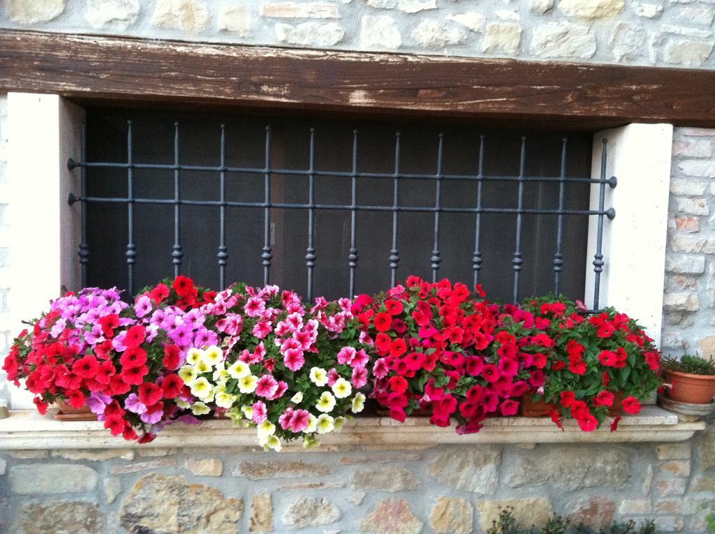 Agriturismo La Cantina Ascoli Piceno Eksteriør bilde